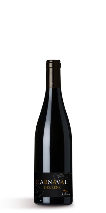 VIn BIO Rouge - SAINT CHINIAN 2019 - Carnaval Des Sens