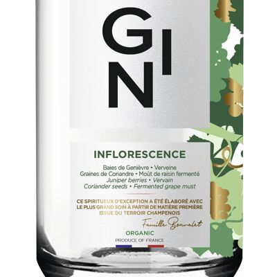 GIN - INFLORESCENCE