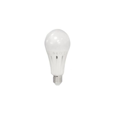 Ampoule LED E27 18W lumière du jour (A7018W)