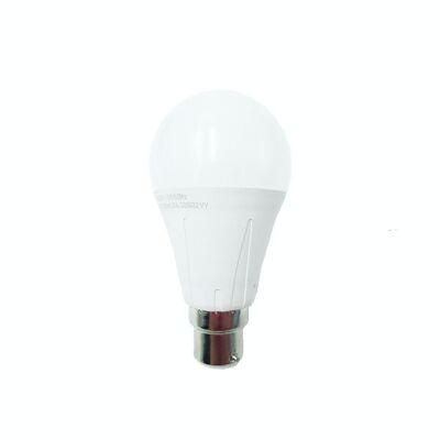 Ampoule DEL GLS 12 W B22 lumière du jour (AGA6012)
