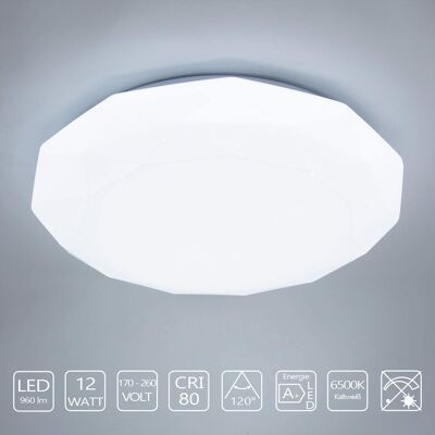 12W LED Ceiling Light (AD260D)