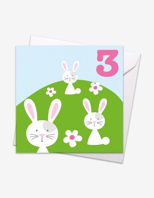 Age 3 Bunnies Birthday Card