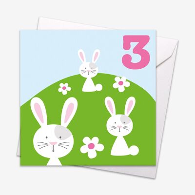 Age 3 Bunnies Birthday Card