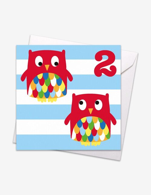 Age 2 Owl Birthday Card