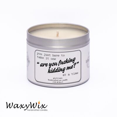 You just have to take it one "are you fucking kidding me?" at a time. Funny and rude candle gift for friend.  Handmade soy wax candle.