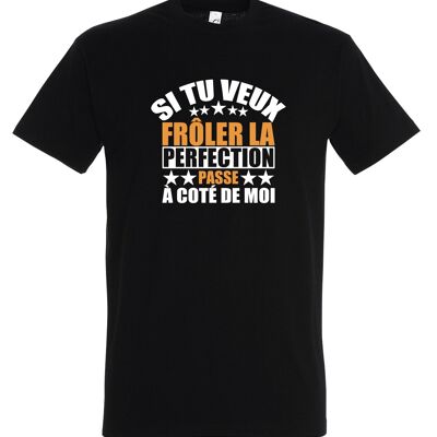 Humorous T-SHIRT If you want to come close to perfection pass by me