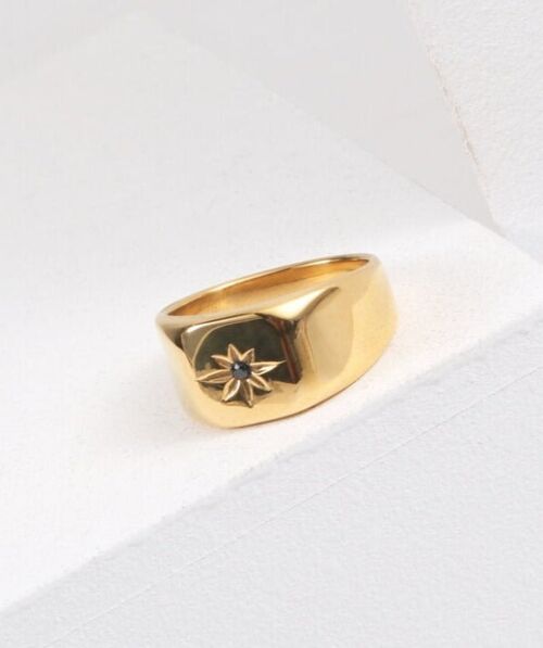 Doneen - Black Crystal Star Signet Ring