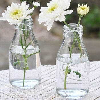 Vase bouteille de lait scolaire - Fleurs Sauvages 2