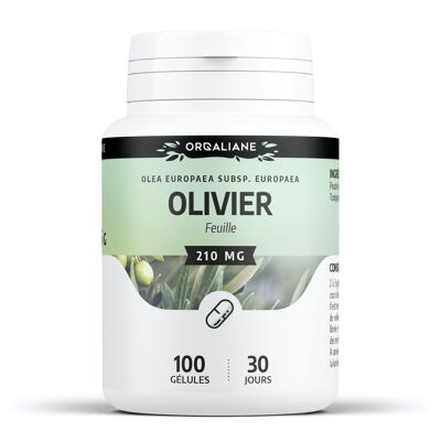 Olivo - 210 mg - 100 cápsulas