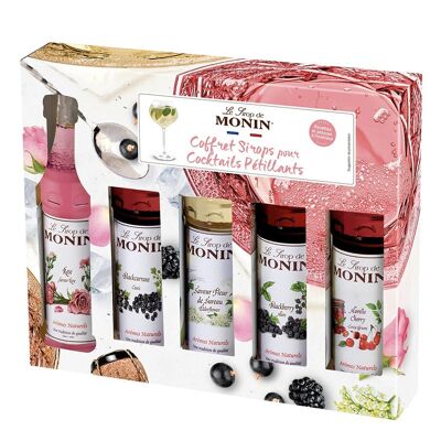 MONIN - Geschenkbox für prickelnde Cocktails auf Basis von Prosecco, Spritz, Gin und Tonic - 5x5cl