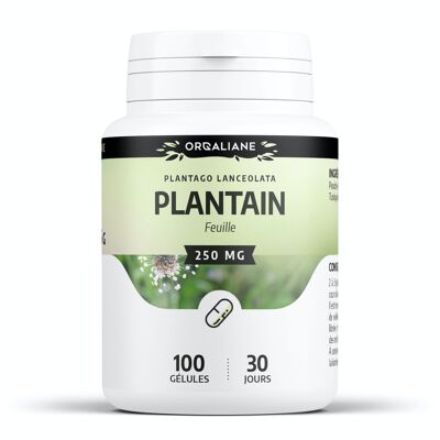 Plantain - 250 mg - 100 gélules