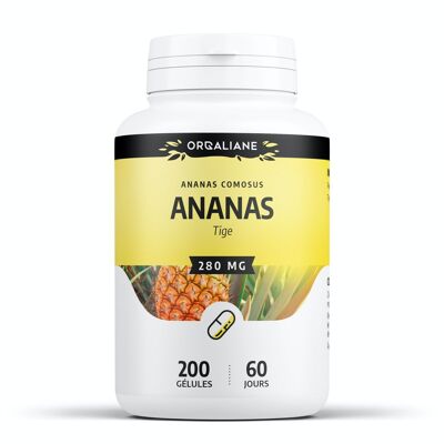 Ananas – 280 mg – 200 Kapseln