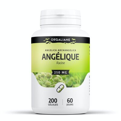 Angélique - 250 mg - 200 gélules