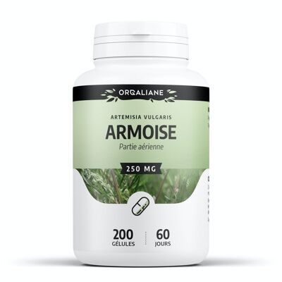 Armoise - 250 mg - 200 gélules