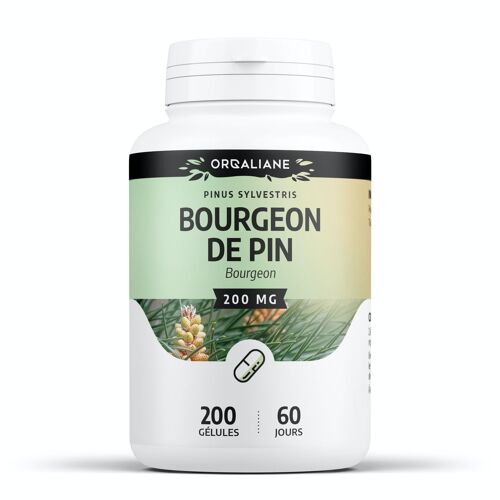 Bourgeon de Pin - 200 mg - 200 gélules