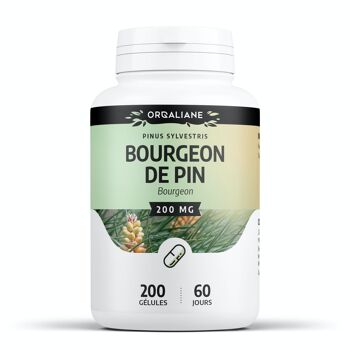 Bourgeon de Pin - 200 mg - 200 gélules 1