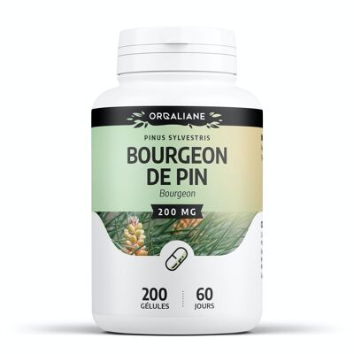 Bourgeon de Pin - 200 mg - 200 gélules