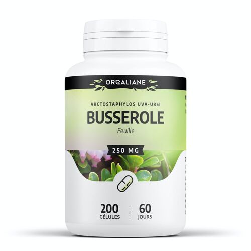 Busserole - 250 mg - 200 gélules