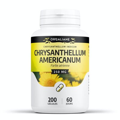 Chrysanthellum americanum - 250 mg - 200 gélules