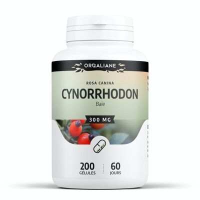 Cynorrhodon - 300 mg - 200 gélules