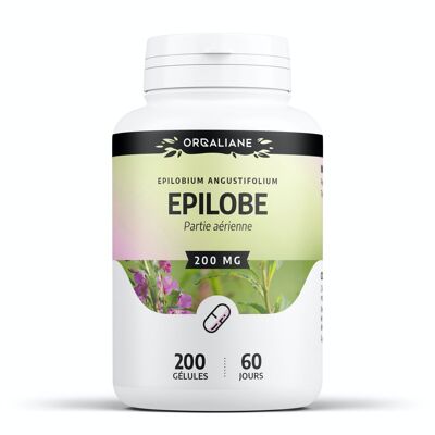 Epilobe - 200 mg - 200 gélules