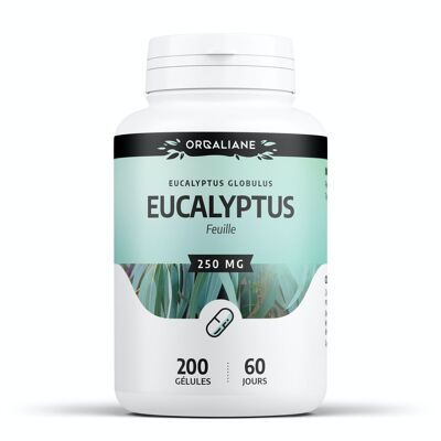 Eukalyptus – 250 mg – 200 Kapseln