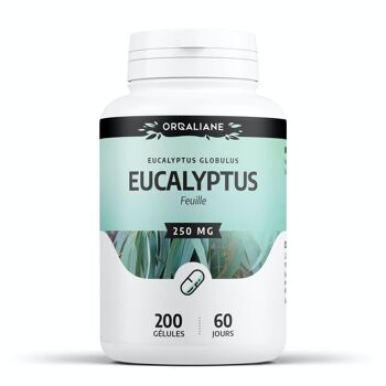 Eucalyptus - 250 mg - 200 gélules 1