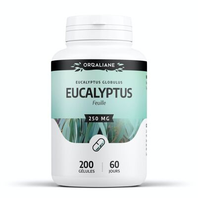 Eucalyptus - 250 mg - 200 gélules