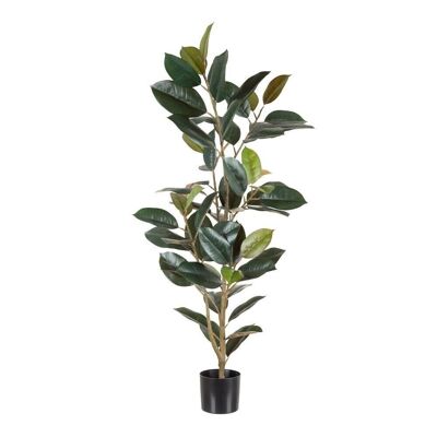 DUNKELGRÜNE FICUS-PFLANZE „PVC“ CT154184