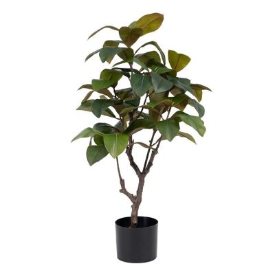 PLANTE À CAOUTCHOUC VERT "PVC" CT605465