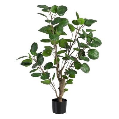 GREEN ARALIA PLANT "PVC" CT605466
