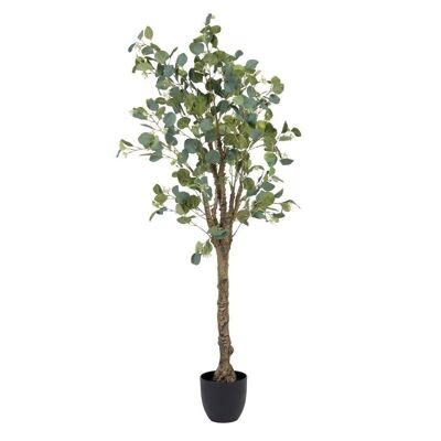 GREEN EUCALYPTUS PLANT "PVC" CT605469