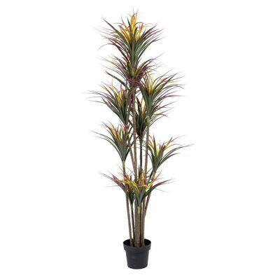 RED-GREEN YUCCA PLANT "PVC" CT605471
