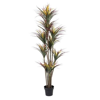 PIANTA DI YUCCA ROSSO-VERDE "PVC" CT605471