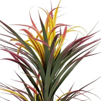 YUCCA ROUGE-VERT "PVC" CT605471 2