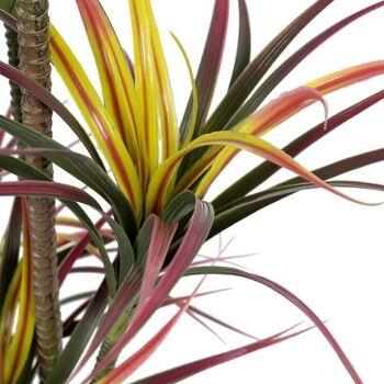 YUCCA ROUGE-VERT "PVC" CT605471 3