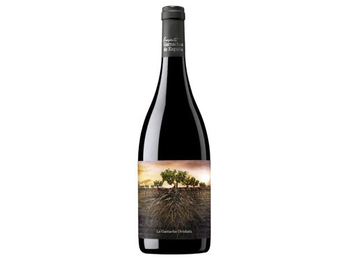 La Garnacha Olvidada de Aragón 2016