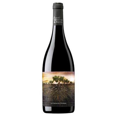 The Forgotten Grenache of Aragon 2016