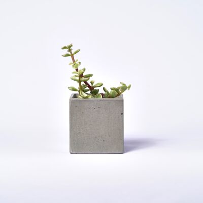Macetero de cemento para planta de interior - Concrete Grey