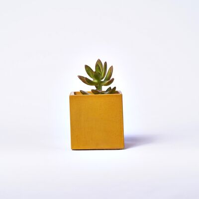 Concrete pot for indoor plant - Yellow Concrete