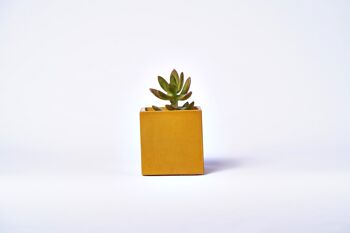 Pot en béton pour plante d'intérieur - Béton  Jaune 1