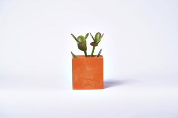 Pot en béton pour plante d'intérieur - Béton Orange 1