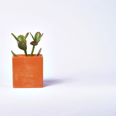 Concrete pot for indoor plant - Concrete Orange