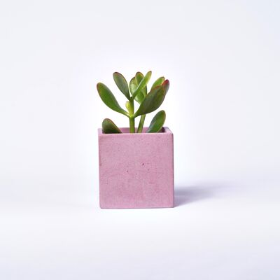 Vaso in cemento per piante da interno - Calcestruzzo rosa pastello