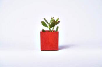 Pot en béton pour plante d'intérieur - Béton Rouge