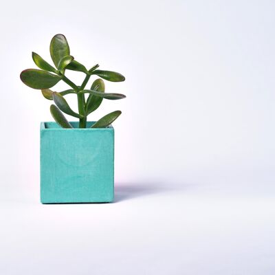 Concrete pot for indoor plant - Concrete Turquoise