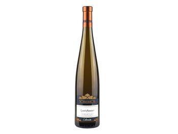 Nous sommes Gewürztraminer Collection 2017