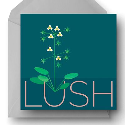 LUSH, Modern Floral Eco Greetings Card