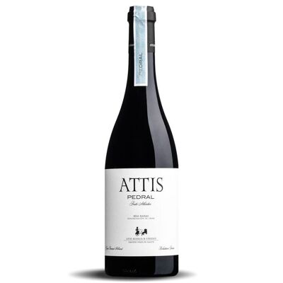 Attis Pedral 2016