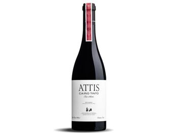 Attis Caiño Rouge 2016